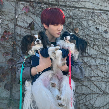 junghoon