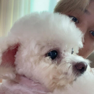 joochan